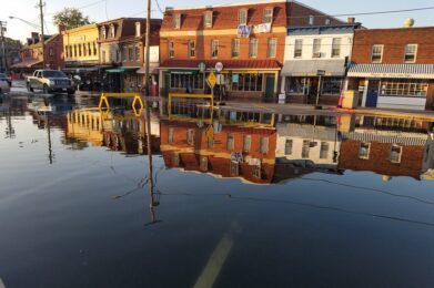 Credit to alliecat1881 on Flickr; https://www.flickr.com/photos/alliecat1881/37366068355